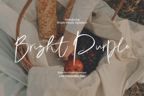 Bright Purple Typeface Review: Elevating Editorial Design with Modern Script