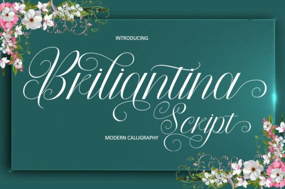 Briliantina Script: A Modern Typeface for Handmade Branding