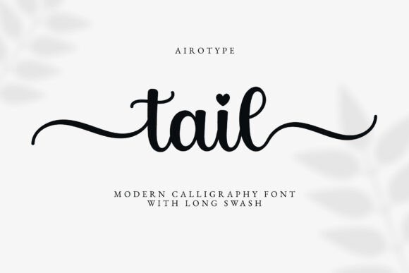 Tail Font Review: A Designer’s Take on Script Amp